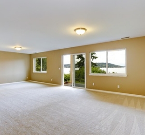 Photo of Layton Professional Carpet Cleaners