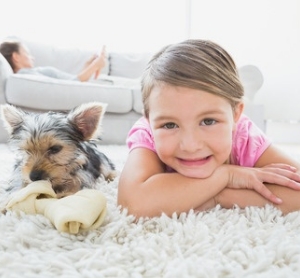 Photo of Layton Professional Carpet Cleaners