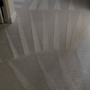 Photo of EnerGreen Carpet Cleaning