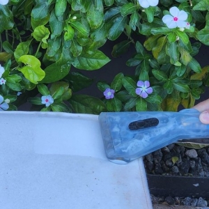 Photo of EnerGreen Carpet Cleaning
