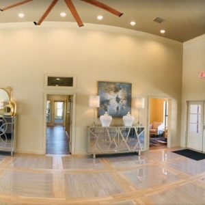 Photo of Crown Lone Oak