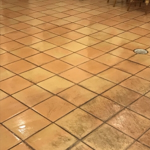 Photo of Royal Carpet and Tile cleaning