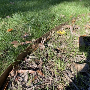 Photo of Top Turf Lawn Care and Pest Management