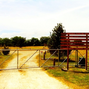 Photo of De La Garza Fence
