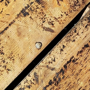 Photo of HD Roofing