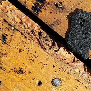 Photo of HD Roofing