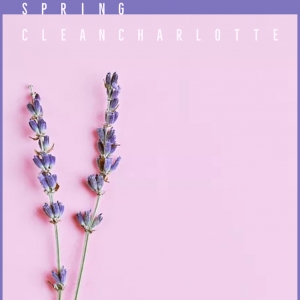 Charlotte Spring Clean