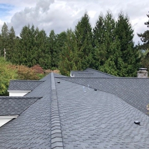 Photo of All Roofing Eagle Construction Services