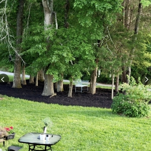 Photo of waynes custom landscapping