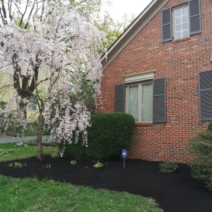 Photo of waynes custom landscapping