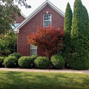 Photo of waynes custom landscapping