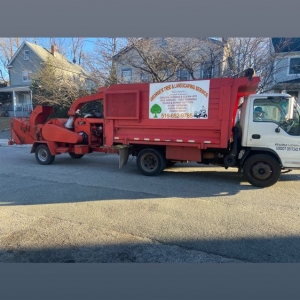 Photo of George's Tree and Landscaping Services