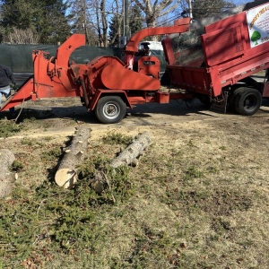 Photo of George's Tree and Landscaping Services