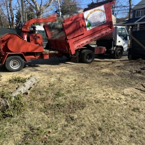 Photo of George's Tree and Landscaping Services