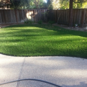 Photo of Buy Some Grass