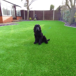 Photo of Buy Some Grass