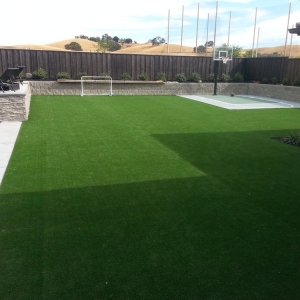 Photo of Buy Some Grass