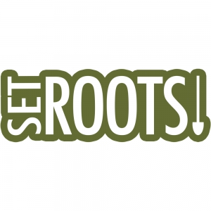 Photo of Roots