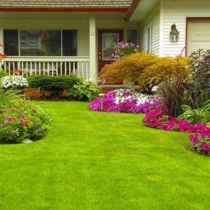 Photo of Summit Lawn & Landscape