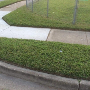 Photo of Polish Lawn Care