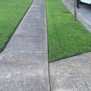 Photo of Polish Lawn Care