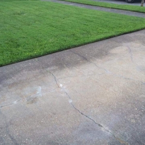 Photo of Polish Lawn Care
