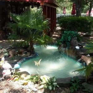 Photo of Phillips Backyard Oasis