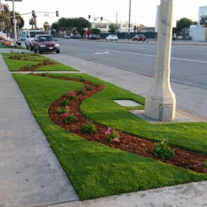 Photo of Top Quality Turf