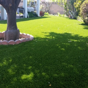 Photo of Top Quality Turf