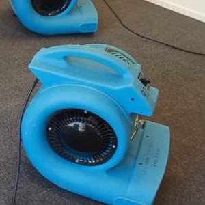 Photo of Precision Mold Removal Of Los Angeles