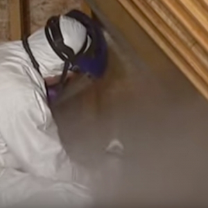 Photo of Precision Mold Removal Of Los Angeles