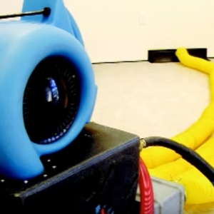 Photo of Precision Mold Removal Of Los Angeles