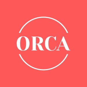 Photo of ORCA IT Consulting