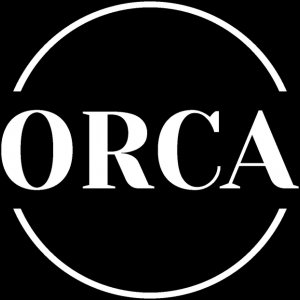 Photo of ORCA IT Consulting