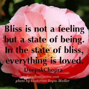 Photo of Blissful Cleaning Services