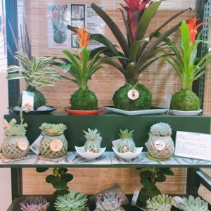 Photo of Kodama Forest