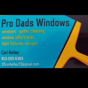 Photo of Pro Dads Windows