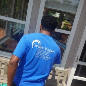 Photo of Pro Dads Windows