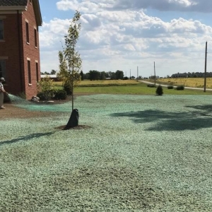 Photo of Lawn Plus