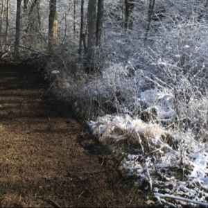 Photo of Lawn Plus