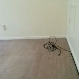 Photo of Carpet Cleaning Charlotte