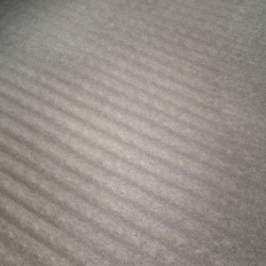 Photo of Carpet Cleaning Charlotte