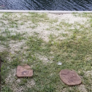Photo of Imperial Gardens landscaping