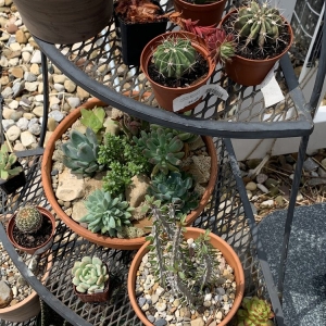 Photo of 1st Impressions Landscape & Garden Center