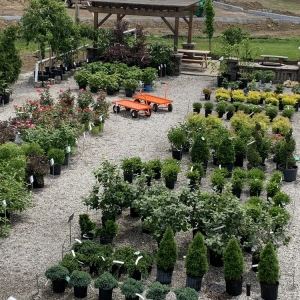 Photo of 1st Impressions Landscape & Garden Center