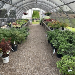 Photo of 1st Impressions Landscape & Garden Center