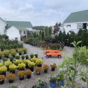Photo of 1st Impressions Landscape & Garden Center