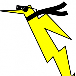 Photo of Hummingbird Electric