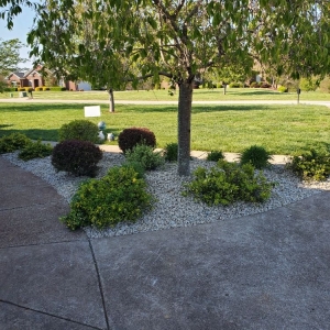 Photo of Trey's Trimmings