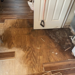 Photo of Astonishing Flooring